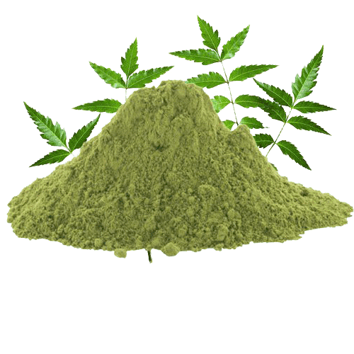 neem leaf powder