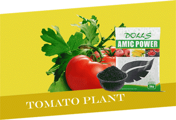 Super Potassium Humate