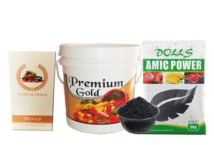 PGR fertilizers